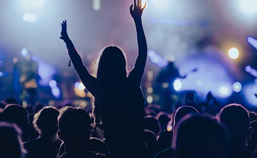 Behind shot of girl at a live music concert